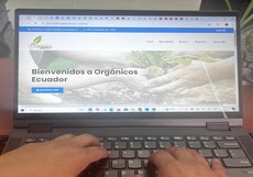 img/portafolio/imagen2mod.jpeg