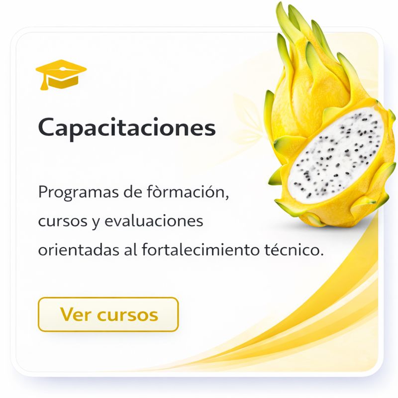 Capacitaciones