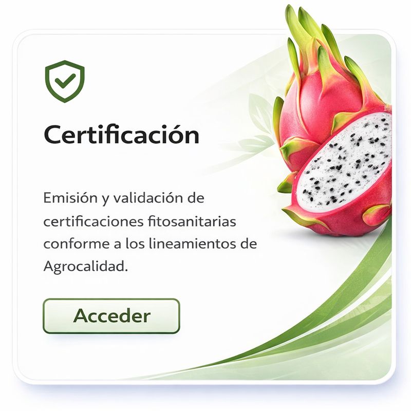 Certificación