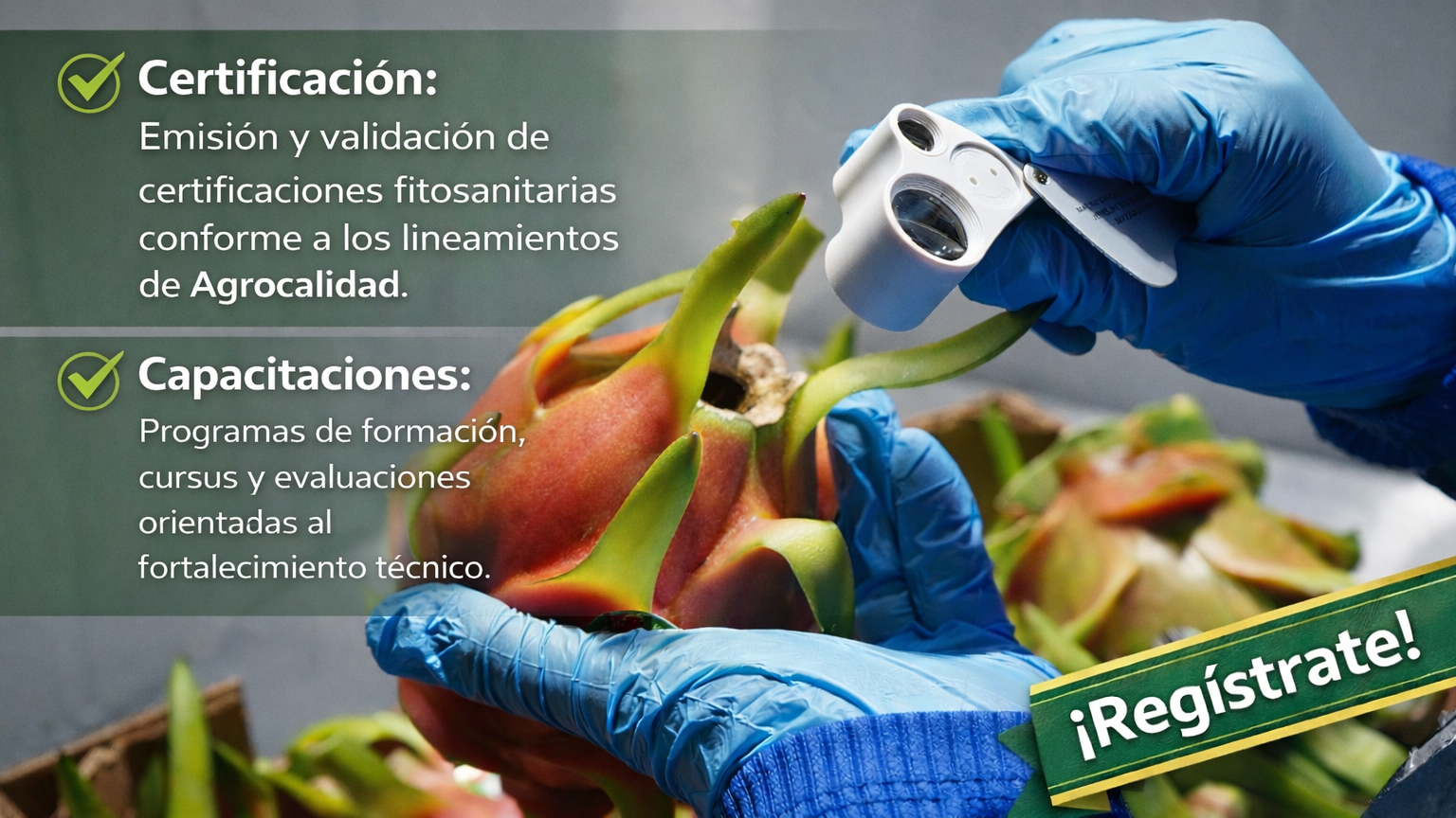 Capacitaciones
